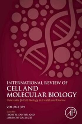 Galluzzi |  Pancreatic B Cell Biology in Health and Disease | eBook | Sack Fachmedien