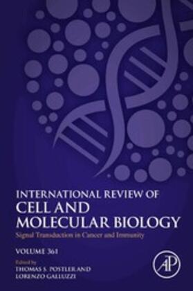 Galluzzi |  Signal Transduction in Cancer and Immunity | eBook | Sack Fachmedien