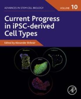 Birbrair |  Current Progress in iPSC-derived Cell Types | eBook | Sack Fachmedien