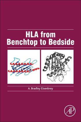 Eisenbrey |  HLA from Benchtop to Bedside | Buch |  Sack Fachmedien