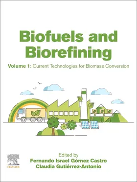 Gomez Castro / Gutierrez-Antonio |  Biofuels and Biorefining | Buch |  Sack Fachmedien