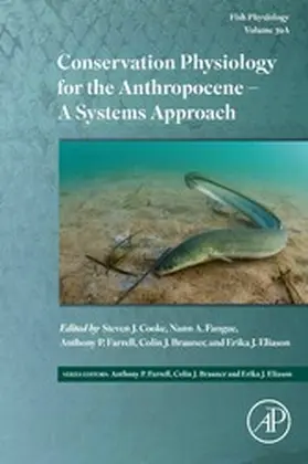 Farrell / Brauner / Eliason |  Conservation Physiology for the Anthropocene - A Systems Approach | eBook | Sack Fachmedien