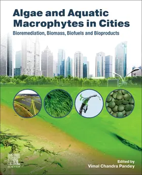 Pandey |  Algae and Aquatic Macrophytes in Cities | Buch |  Sack Fachmedien