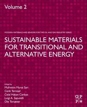 Sari / Temizel / Canbaz |  Sustainable Materials for Transitional and Alternative Energy | Buch |  Sack Fachmedien