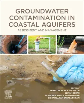 Sabarathinam / Venkatramanan / Viswanathan |  Groundwater Contamination in Coastal Aquifers | Buch |  Sack Fachmedien