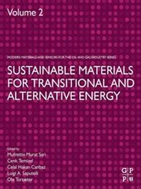 Sari / Temizel / Canbaz |  Sustainable Materials for Transitional and Alternative Energy | eBook | Sack Fachmedien