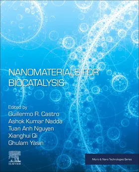 Castro / Nadda / Nguyen |  Nanomaterials for Biocatalysis | Buch |  Sack Fachmedien