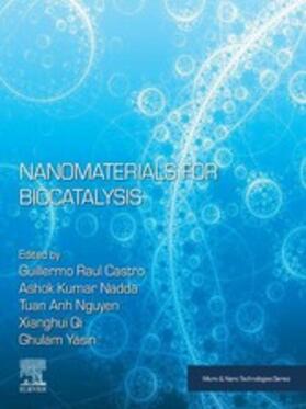 Castro / Nadda / Kumar |  Nanomaterials for Biocatalysis | eBook | Sack Fachmedien