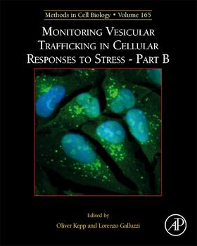  Monitoring Vesicular Trafficking in Cellular Responses to Stress - Part B | Buch |  Sack Fachmedien