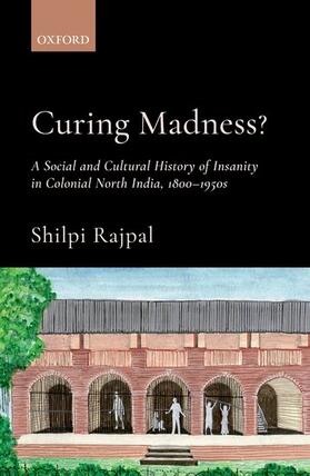 Rajpal |  Curing Madness? | Buch |  Sack Fachmedien