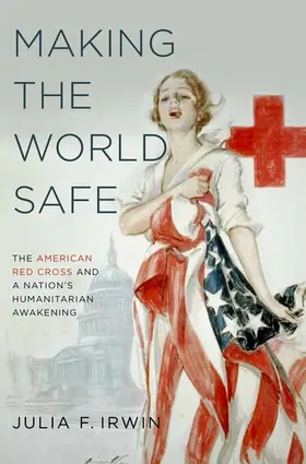 Irwin |  Making the World Safe | Buch |  Sack Fachmedien