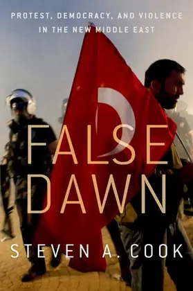 Cook |  False Dawn | Buch |  Sack Fachmedien