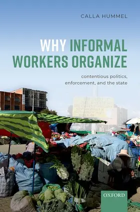 Hummel |  Why Informal Workers Organize | Buch |  Sack Fachmedien