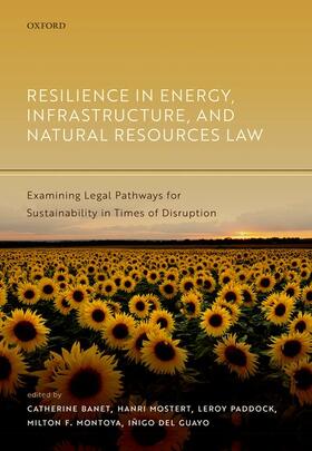 Banet / Mostert / Paddock |  Resilience in Energy, Infrastructure, and Natural Resources Law | Buch |  Sack Fachmedien