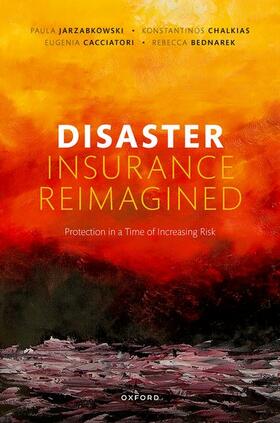 Cacciatori / Jarzabkowski / Chalkias |  Disaster Insurance Reimagined | Buch |  Sack Fachmedien