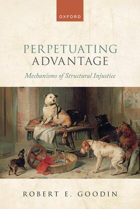 Goodin |  Perpetuating Advantage | Buch |  Sack Fachmedien