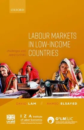 Lam / Elsayed |  Labour Markets in Low-Income Countries | Buch |  Sack Fachmedien