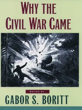 Boritt |  Why the Civil War Came | Buch |  Sack Fachmedien