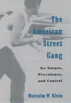 Klein |  The American Street Gang | Buch |  Sack Fachmedien