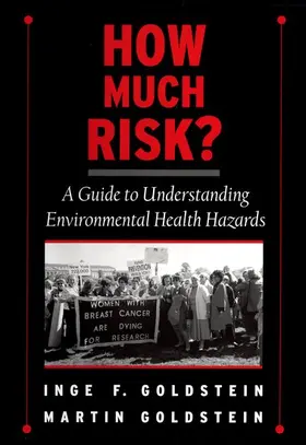 Goldstein |  How Much Risk? | Buch |  Sack Fachmedien