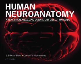 Bruni / Montemurro |  Human Neuroanatomy: A Text, Brain Atlas, and Laboratory Dissection Guide | Buch |  Sack Fachmedien