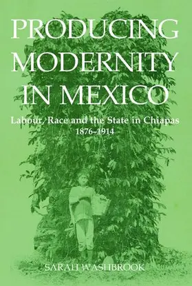 Washbrook |  Producing Modernity in Mexico | Buch |  Sack Fachmedien