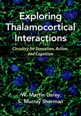 Sherman / Usrey |  Exploring Thalamocortical Interactions | Buch |  Sack Fachmedien