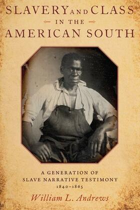 Andrews |  Slavery and Class in the American South | Buch |  Sack Fachmedien