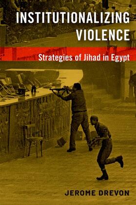 Drevon |  Institutionalizing Violence | Buch |  Sack Fachmedien