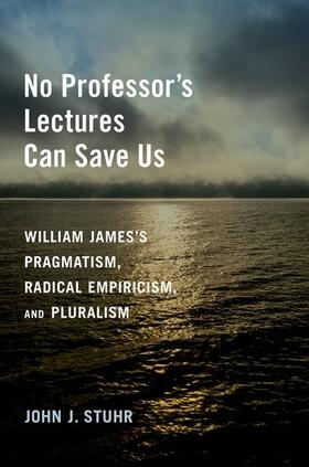Stuhr |  No Professor's Lectures Can Save Us | Buch |  Sack Fachmedien