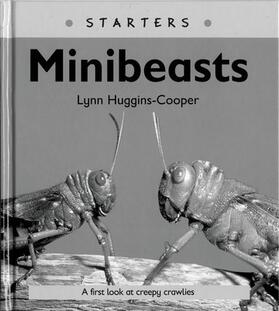Huggins-Cooper / Miskin |  Read Write Inc. Comprehension: Module 24: Children's Books: Mini Beasts Pack of 5 books | Buch |  Sack Fachmedien