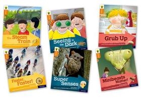 Hunt / Llewellyn / Ganeri |  Oxford Reading Tree Explore with Biff, Chip and Kipper: Oxford Level 6: Mixed Pack of 6 | Buch |  Sack Fachmedien
