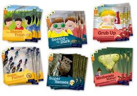 Hunt / Llewellyn / Ganeri |  Oxford Reading Tree Explore with Biff, Chip and Kipper: Level 6: Class Pack of 36 | Buch |  Sack Fachmedien