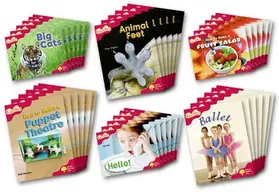 Page / Miles / Howell |  Oxford Reading Tree: Level 4: More Fireflies A: Class Pack (36 books, 6 of each title) | Buch |  Sack Fachmedien