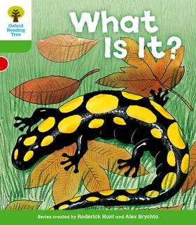 Hunt |  Oxford Reading Tree: Level 2: More Patterned Stories A: What Is It? | Buch |  Sack Fachmedien