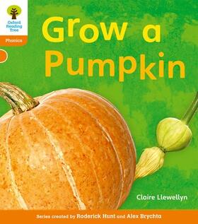 Llewellyn / Hughes / Hunt |  Oxford Reading Tree: Level 6: Floppy's Phonics Non-Fiction: Grow a Pumpkin | Buch |  Sack Fachmedien