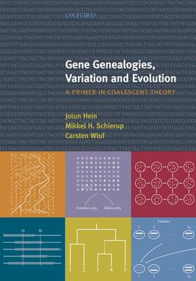 Hein / Schierup / Wiuf |  Gene Genealogies, Variation and Evolution | Buch |  Sack Fachmedien