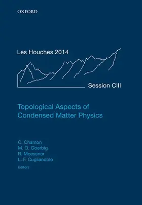 Chamon / Goerbig / Moessner |  Topological Aspects of Condensed Matter Physics | Buch |  Sack Fachmedien