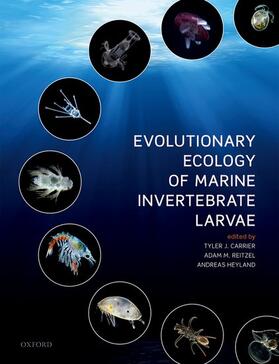 Carrier / Reitzel / Heyland |  Evolutionary Ecology of Marine Invertebrate Larvae | Buch |  Sack Fachmedien