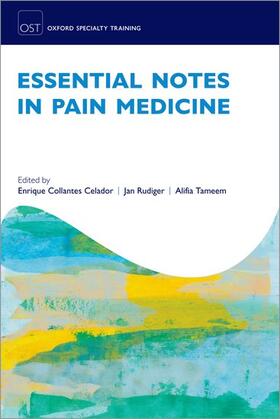 Tameem / Collantes Celador / Rudiger |  Essential Notes in Pain Medicine | Buch |  Sack Fachmedien