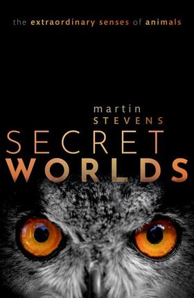 Stevens |  Secret Worlds | Buch |  Sack Fachmedien