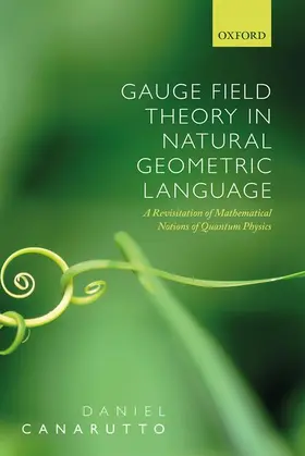 Canarutto |  Gauge Field Theory in Natural Geometric Language | Buch |  Sack Fachmedien