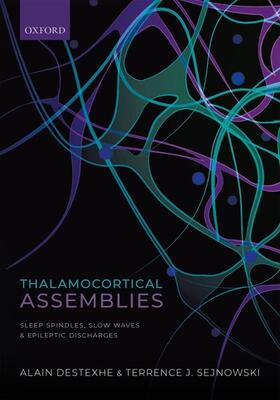 Destexhe / Sejknowski |  Thalamocortical Assemblies | Buch |  Sack Fachmedien