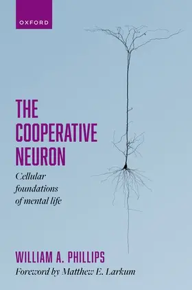 Phillips |  The Cooperative Neuron | Buch |  Sack Fachmedien