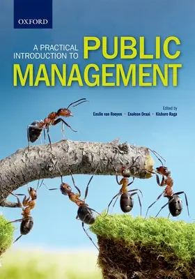 Thornhill / Draai / Madue |  A Practical Introduction to Public Management | Buch |  Sack Fachmedien