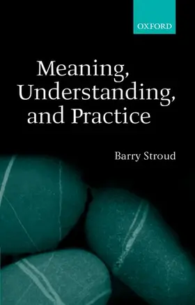 Stroud |  Meaning, Understanding, and Practice | Buch |  Sack Fachmedien