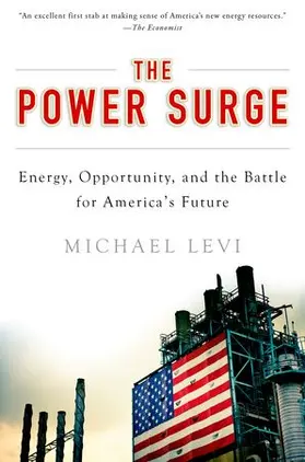 Levi |  Power Surge | Buch |  Sack Fachmedien