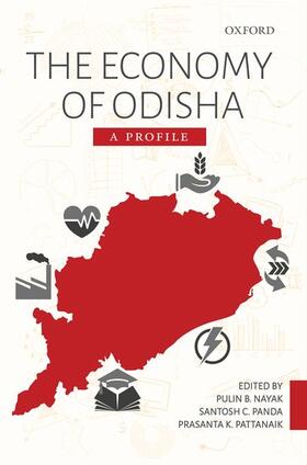Nayak / Panda / Pattanaik |  The Economy of Odisha | Buch |  Sack Fachmedien