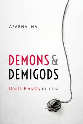 Jha |  Demons and Demigods | Buch |  Sack Fachmedien