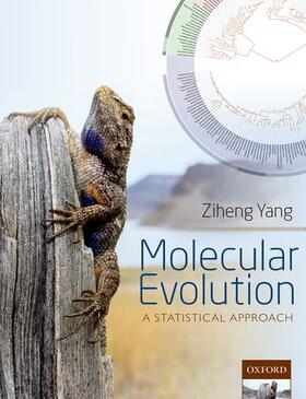 Yang |  Molecular Evolution | Buch |  Sack Fachmedien